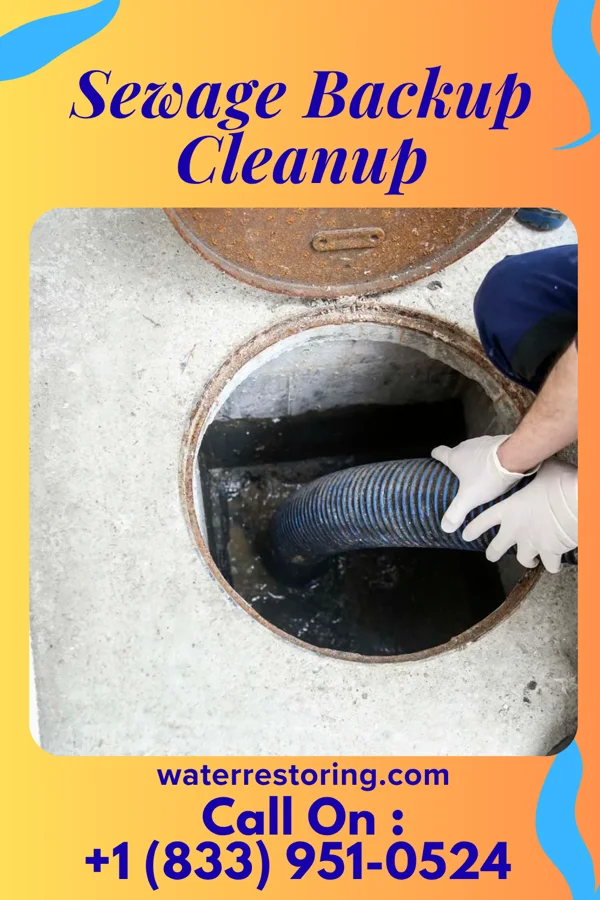 Sewage Backup Cleanup in Cinco Ranch, TX